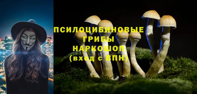 Псилоцибиновые грибы MAGIC MUSHROOMS  даркнет сайт  kraken ТОР  Заозёрный 